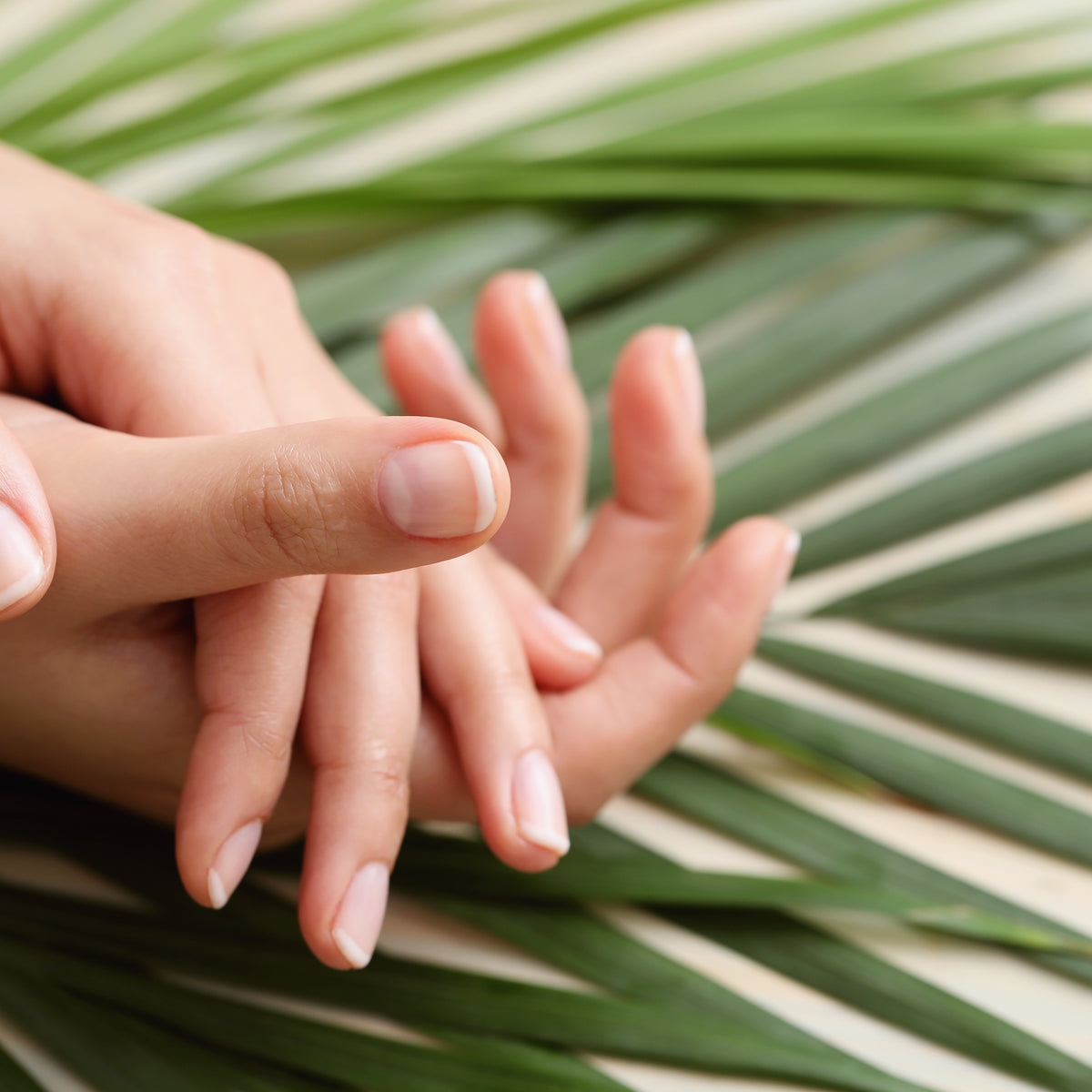 https://www.scoutactivebeauty.com.au/cdn/shop/articles/female-hands-skin-care-manicure-concept.jpg?crop=center&height=1200&v=1640093569&width=1200