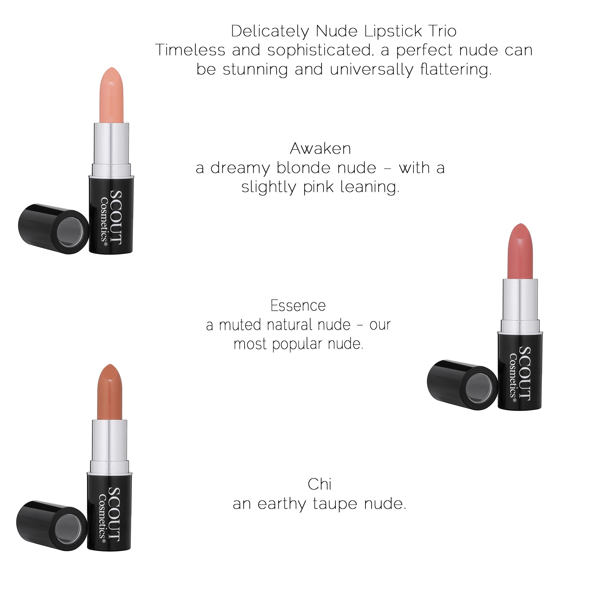 Delicately Nude Lipstick Trio