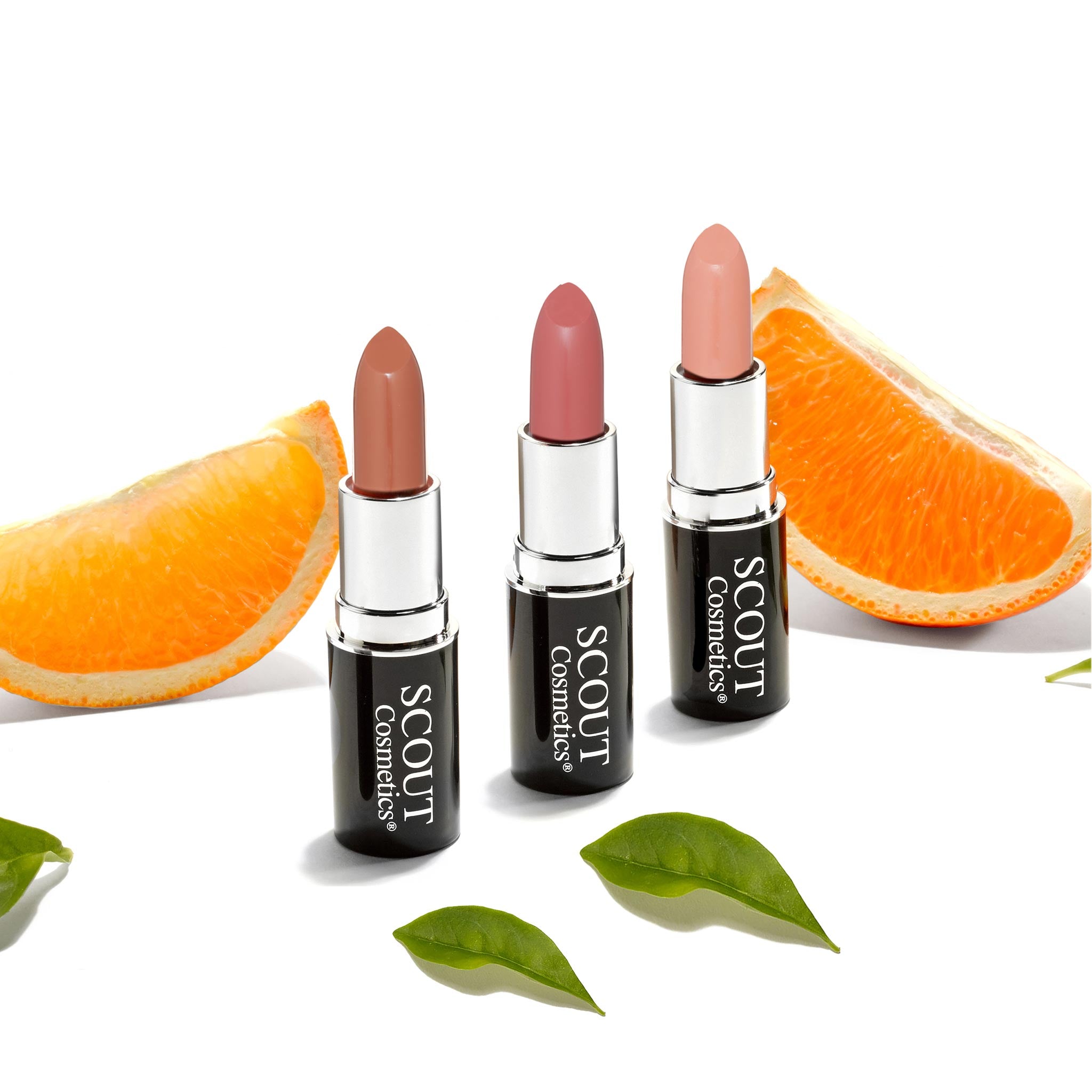 Delicately Nude Lipstick Trio